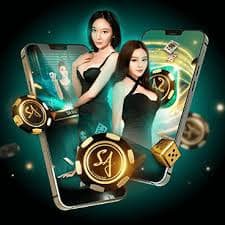 Qiu Qiu domino game interface showing hand values and dealer comparison on kaisar4dtoto mobile app